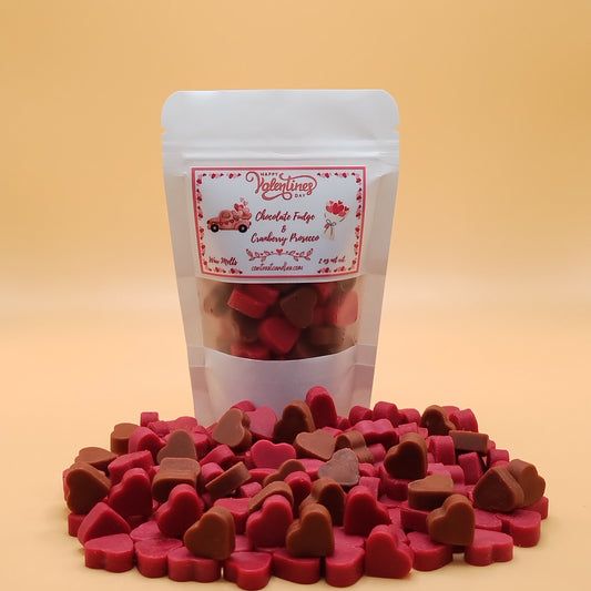 Chocolate Fudge & Cranberry - Wax Melts